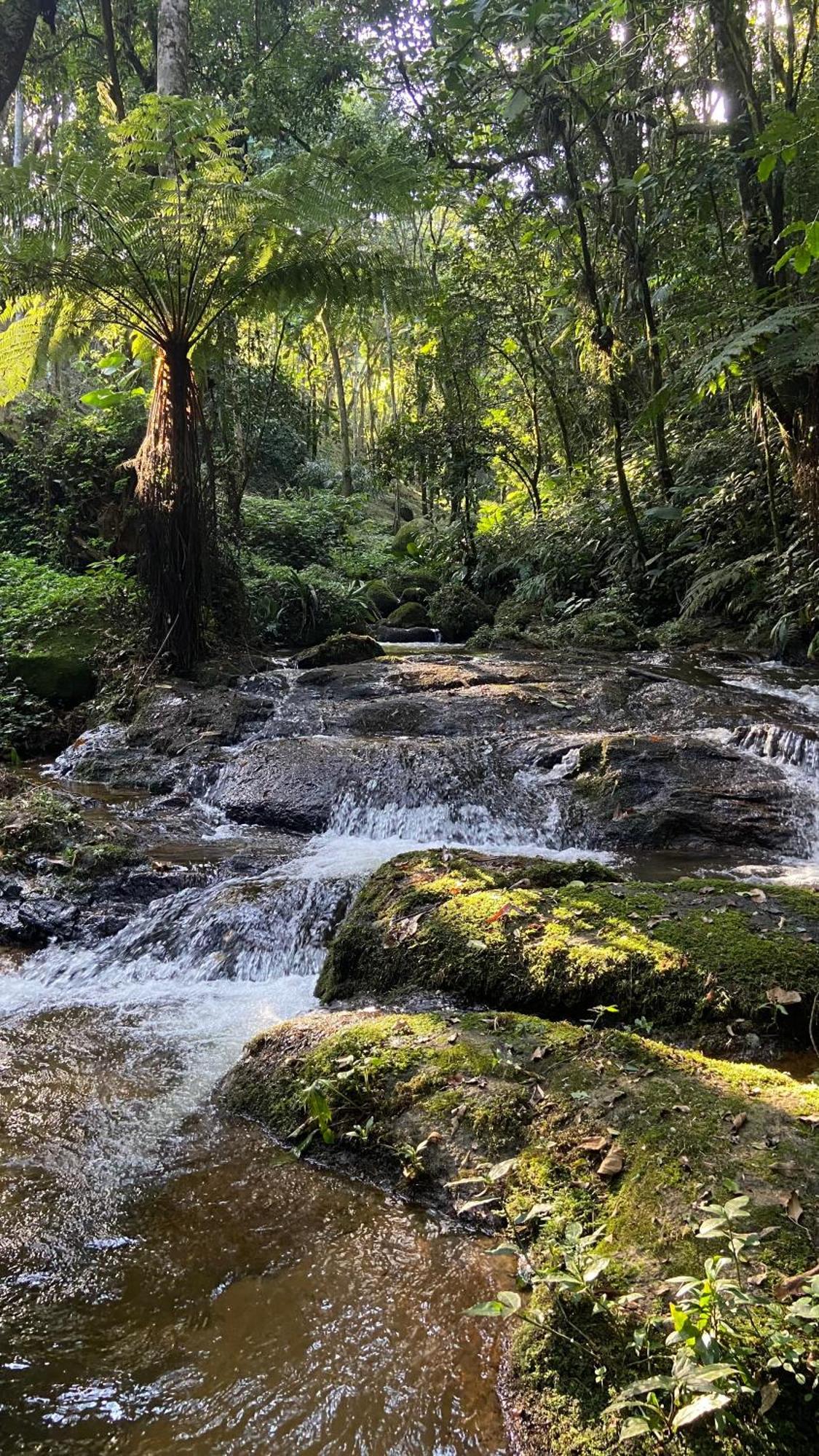 Pousada Caminhos De Gaia Сан-Франсиску-Хавьер Экстерьер фото